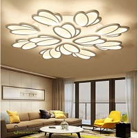 Ceiling light store price