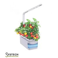 Smart Indoor Garden Transparent Hydroponics Plant Growing Kit
